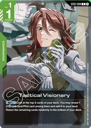 Tactial Visionary