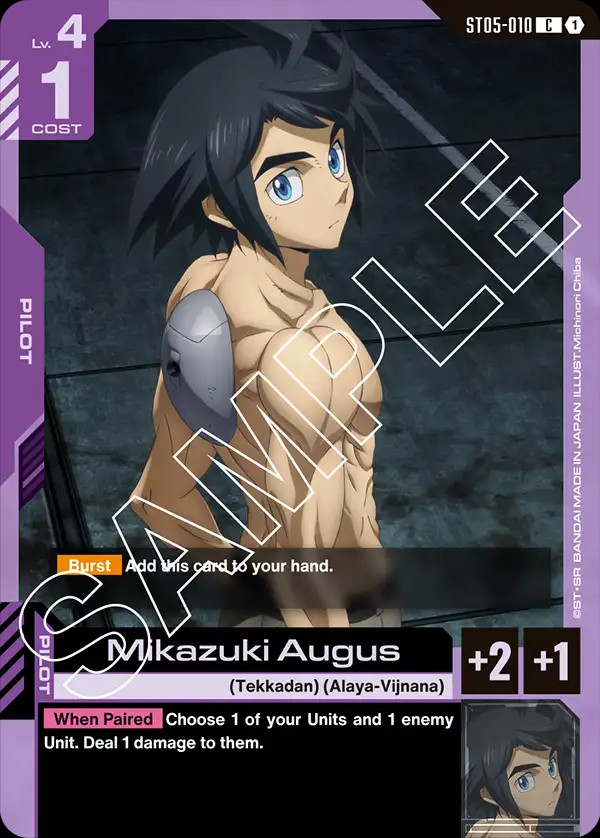 ST05 Card