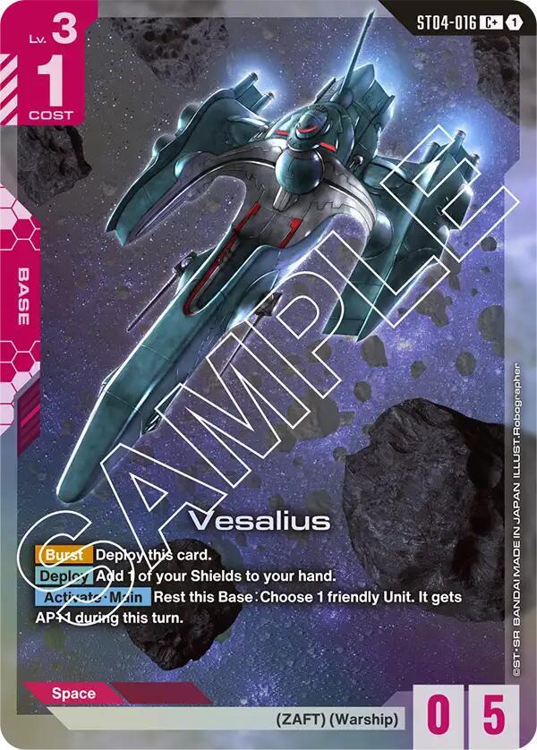 Vesalius C